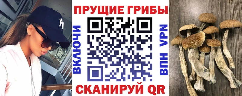 Псилоцибиновые грибы Magic Shrooms Александровск-Сахалинский